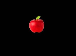 Template ppt perusahaan apel gratis