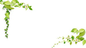 Two sets of green leaf PPT border background pictures