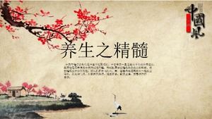 Znakomity tradycyjny klasyczny chiński styl tradycyjnej medycyny chińskiej szablon ppt zdrowia