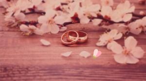 เทมเพลต ppt อัลบั้มรูปงานแต่งงานที่สวยงามสีชมพู