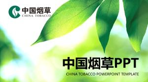 ppt-Vorlage für die Arbeitszusammenfassung der Tabaksicherheit