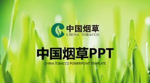 PPT-Vorlage für den Bau von Zigaretten-Einzelhandelsterminals