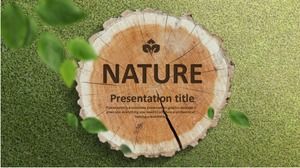 قالب PPT ثابت عام أخضر طبيعي باللغة الإنجليزية