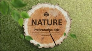 Modelo de PPT estático geral em inglês natural verde