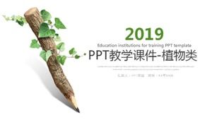PPT-Unterrichtskursunterlagen-Pflanzen-Junior-Highschool-Biologie