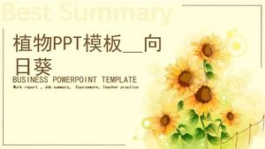 식물 PPT 템플릿 __ 해바라기