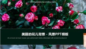 Beautiful flower background - landscape PPT template