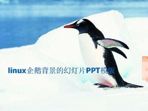 Linuxペンギンの背景のスライドショーPPTテンプレート