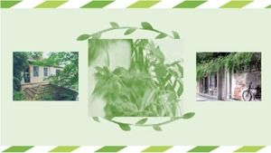 Green leaves background classic PPT template