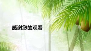 Modello di diapositiva profonda della foresta di bambù
