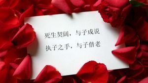 Plantilla de diapositivas PPT especial del Día de San Valentín chino 2010