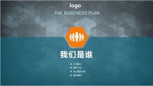 Шаблон п.п. бизнес-плана продукта