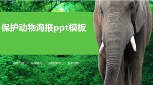Animal protection poster ppt template