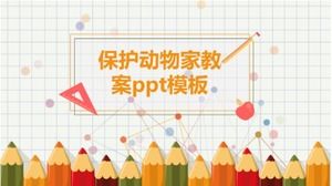 动物保护之家教案ppt模板