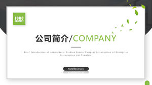 Atmospheric simplicity company profile introduction PPT template