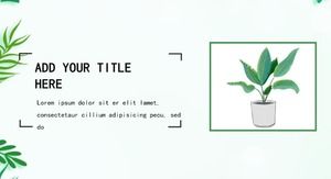 綠色小清新植物點綴個人簡歷大賽PPT模板