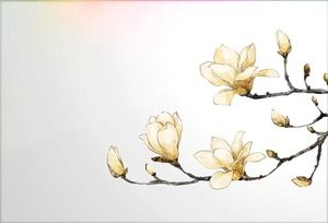 Four flowers PPT material in spring with transparent background