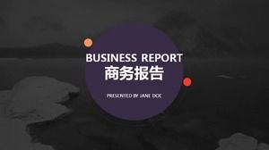 Business report work report PPT template