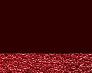 血液細胞のPowerPointテンプレート