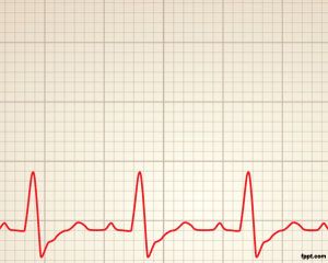 Modèle Cardiology Rhythm Power Point