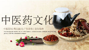 Chinese medicine ppt template