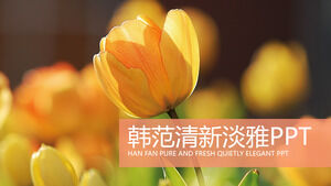 ดอกไม้สร้างสรรค์ Han Fan เทมเพลต PPT สำหรับการศึกษาที่สดใหม่และสง่างาม