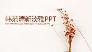 Die frische und elegante PPT-Vorlage für den Online-Unterricht von Han Fan