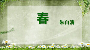 Chinese spring ppt