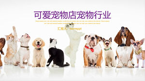 Pet company background ppt template
