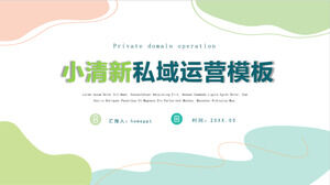 Colorful small fresh private domain operation industry analysis report marketing ppt template
