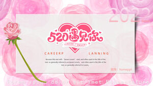 520 meet you confession event planning ppt template