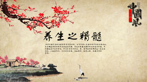 Chinese wind traditional Chinese medicine health care Chinese herbal medicine PPT template