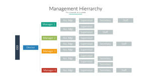 Management organization chart PPT material