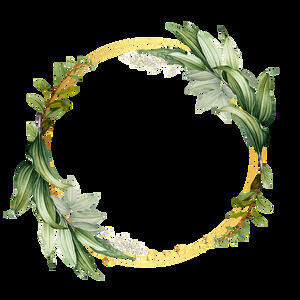 Green branches and leaves vines wreath border HD free cutout (20 photos)
