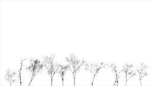 Branches minimalistes Image de fond PPT