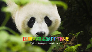 Modello PPT di pubblicità dell'attività del rapporto di relazione sul tema del panda del tesoro nazionale