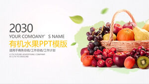 Template PPT umum industri buah