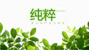 Bela literatura e arte folhas verdes frescas modelo PPT 2