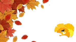 Cinque belle foglie immagini di sfondo PPT