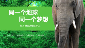 World Animal Day PPT debriefing report general PPT template