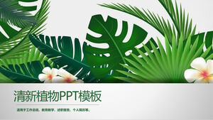 清新醒目的绿色植物PPT模板2