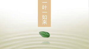 One leaf Yirulai tea culture PPT template material download