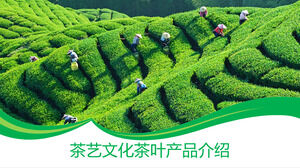 Modello PPT di presentazione del prodotto del tè della cultura dell'arte del tè verde minimalista