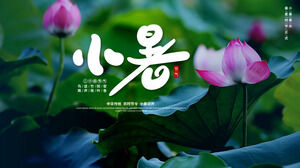 Лист лотоса, лотос, китайский традиционный сельскохозяйственный сезон, небольшой летний приветственный шаблон PPT