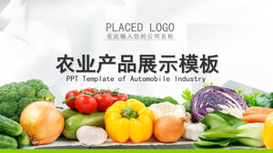 Modello ppt di prodotti agricoli di frutta e verdura per agricoltura ecologica verde