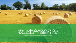 Promoção de investimento de produção agrícola visão geral do trabalho anual apresentação do projeto plano de trabalho do próximo ano produtos agrícolas ppt template