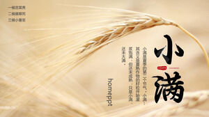 Golden wheat field background Xiaoman solar term introduction PPT template