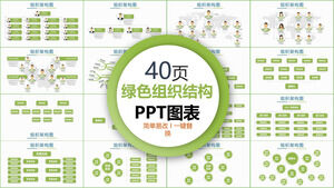 Świeża zielona struktura organizacyjna firmy Kolekcja wykresów PPT