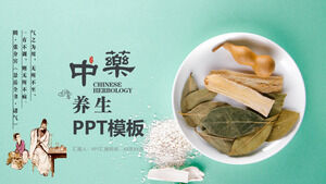 Material de diapositiva de plantilla PPT de cultura de medicina china de medicina tradicional china fresca