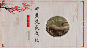 Traditional Chinese medicine culture moxibustion health planning publicity dynamic PPT template slideshow material